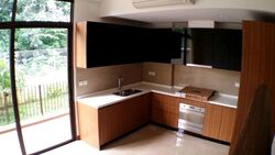 Holland Link (D10), Terrace #396009011
